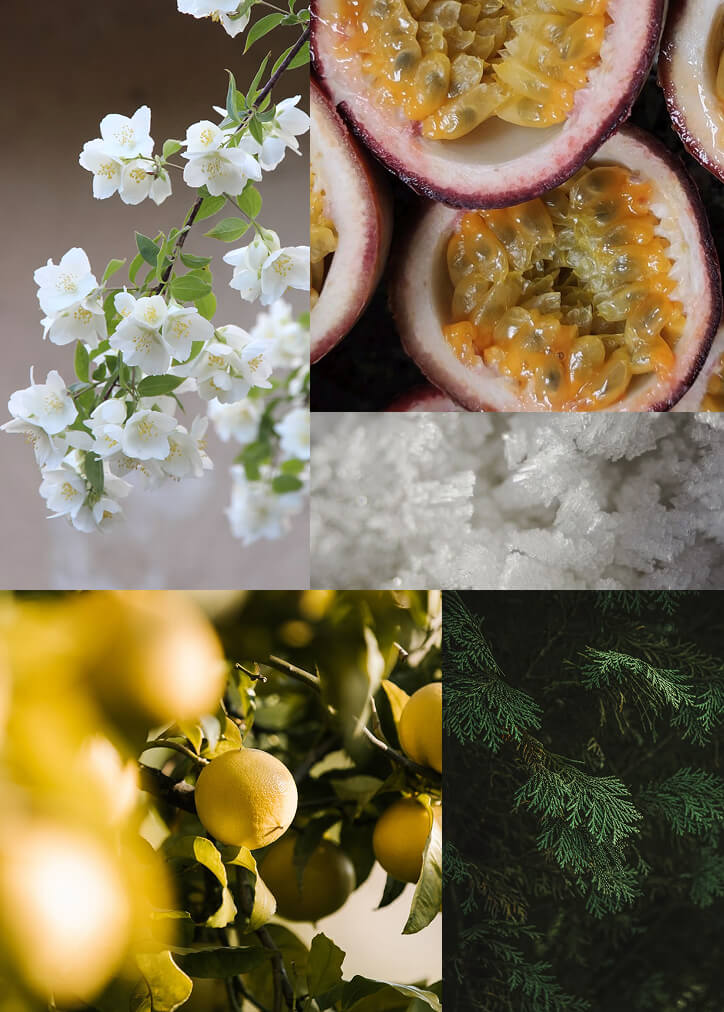 Yuzu Blossom