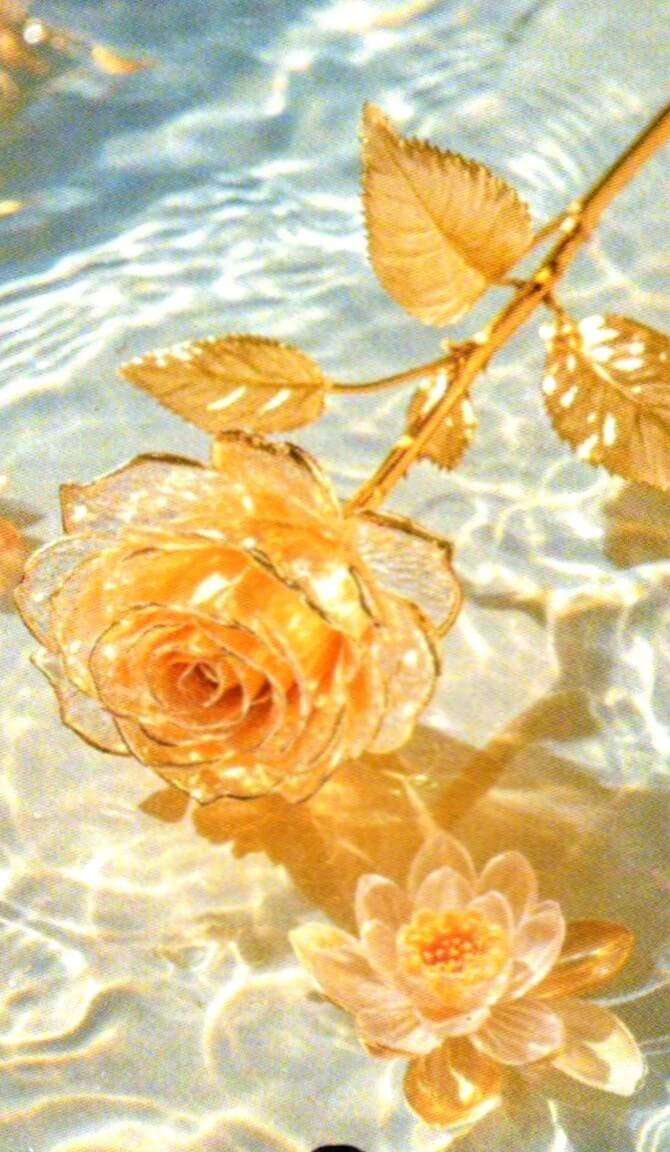 Fleur d’Eau