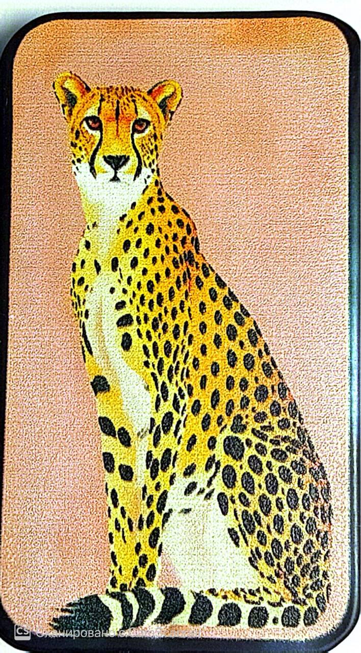 Savanna