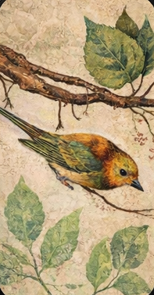 Aves