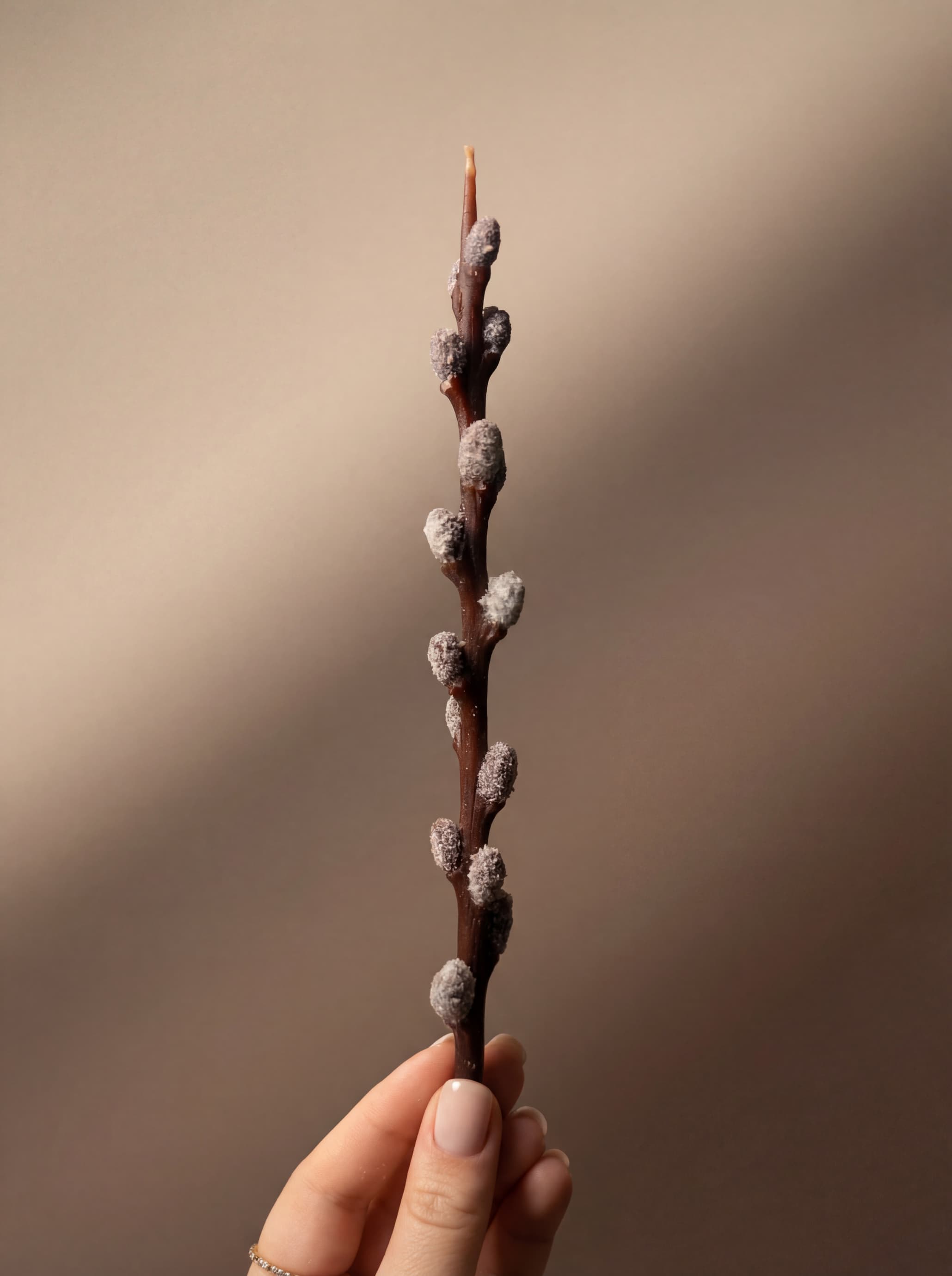 Свічка Вербова гілочка